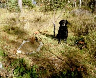 Malla Maran haudalla